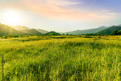 summer of spring landscape of green grass meadow with great beautiful mountains and awersome golden cloudy sunset photo