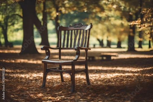 bench in autumn park © shafiq