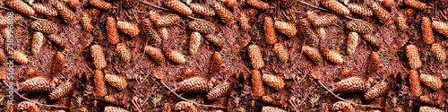 seamless pattern in orange fir cones
