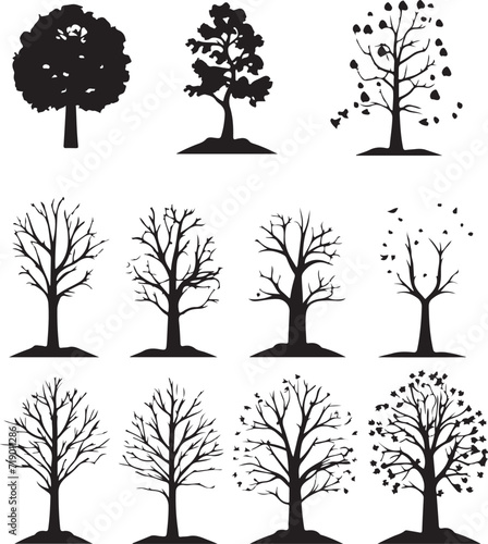 Tree silhouettes on a white background. Vector illustration.
