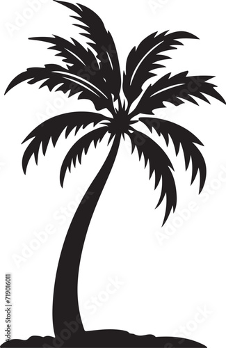 Tropical palm trees with leaves and black silhouettes isolated on a white background. Vector