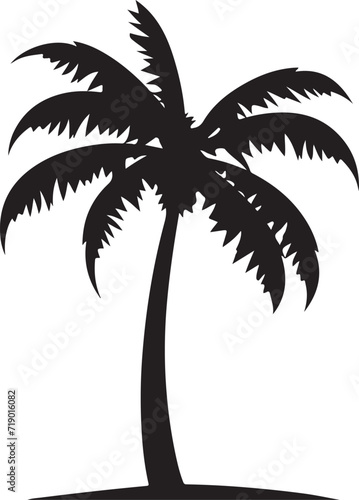 Tropical palm trees with leaves and black silhouettes isolated on a white background. Vector