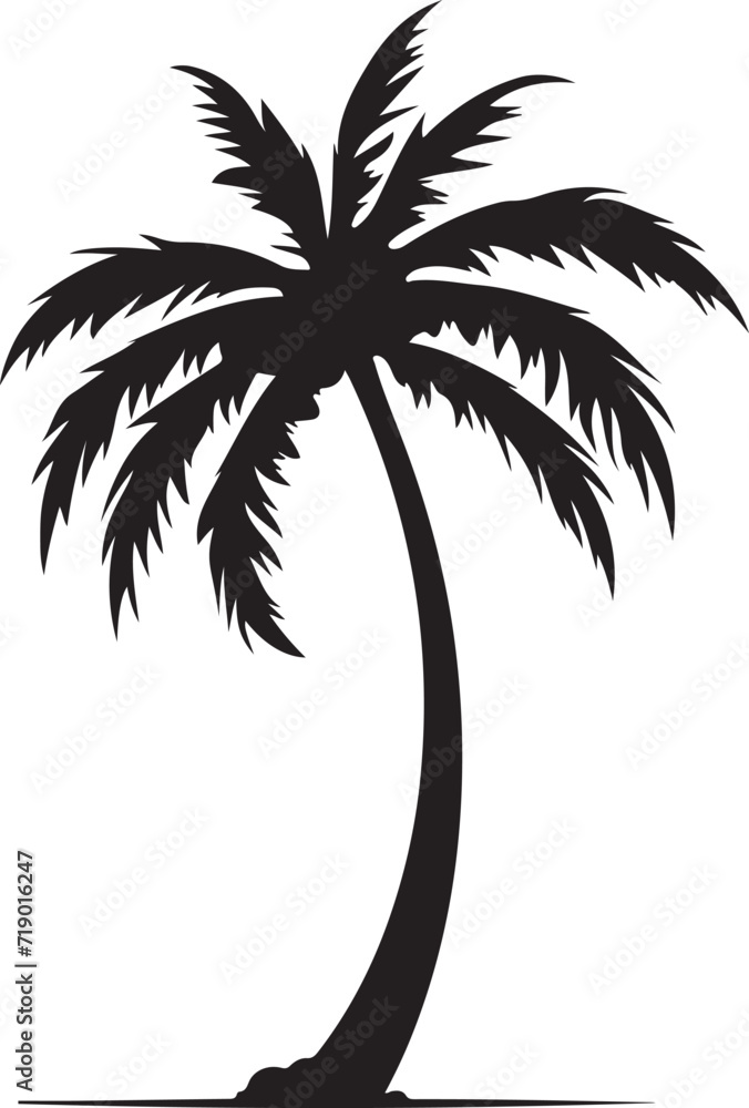 Tropical palm trees with leaves and black silhouettes isolated on a white background. Vector Tropical palm trees with leaves and black silhouettes isolated on a white background. Vector