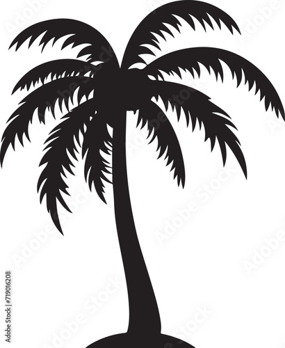 Tropical palm trees with leaves and black silhouettes isolated on a white background. Vector