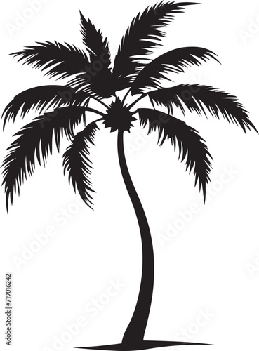 Tropical palm trees with leaves and black silhouettes isolated on a white background. Vector ©  designermdali