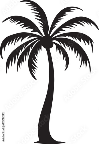 Tropical palm trees with leaves and black silhouettes isolated on a white background. Vector ©  designermdali