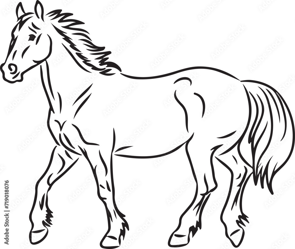 Obraz premium Horse Line art vector illustration black color