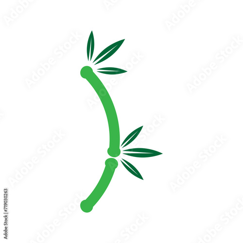 plant isolated on white