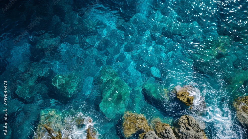 Teal waters dance over the reef, inviting us to explore the underwater wonders of nature's outdoor oasis Teal waters dance over the reef, inviting us to explore the underwater wonders of nature's outdoor oasis