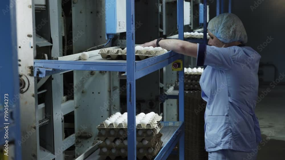 Female Worker Packaging White Eggs In Product Cartons. Organic Food Production Plant. Sorting Eggs. Chicken Eggs Product Packaging. Fresh Poultry Product Packaging. Storage Room. Shelves Female Worker Packaging White Eggs In Product Cartons. Organic Food Production Plant. Sorting Eggs. Chicken Eggs Product Packaging. Fresh Poultry Product Packaging. Storage Room. Shelves