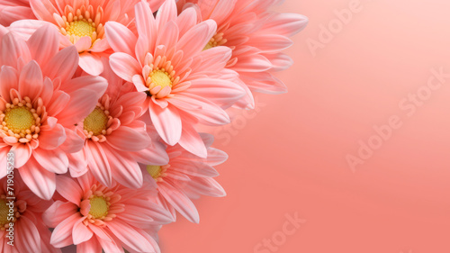 Flower chrysanthemum greeting card with an empty space for text on a soft peach background.  © lastfurianec