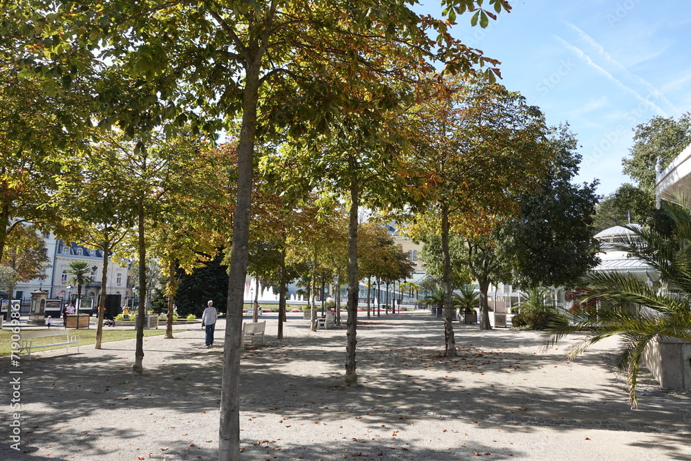 ある晴れた日のヨーロッパの公園 ある晴れた日のヨーロッパの公園