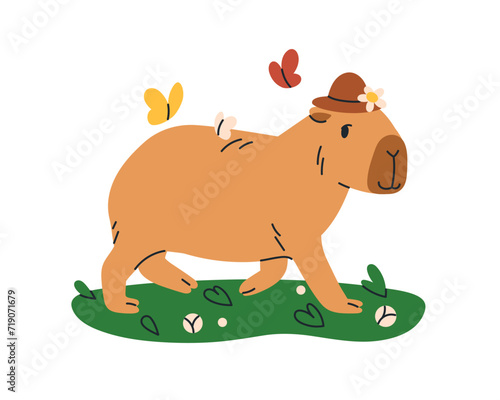 Cute capybara walking. Funny adorable capibara going, strolling in nature. Ha...