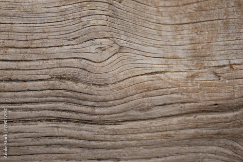 wood texture