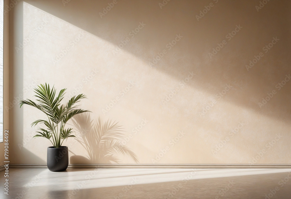 Minimalist Summer Aesthetic Minimalist Summer Aesthetic