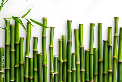 Green bamboo with leaves isolated on white background