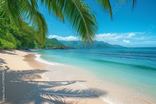 beach with coconut trees © augenperspektive