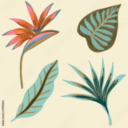 Set of Tropical Foliage  Isolated