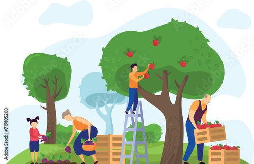 Happy family harvesting apples, gathering fruit from the tree. Multigenerational gardening activity, grandparents and child in orchard. Young woman picking vegetables, helping elderly with farm work