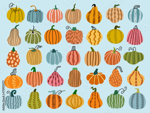 Pumpkin vector hand drawn illustration set	