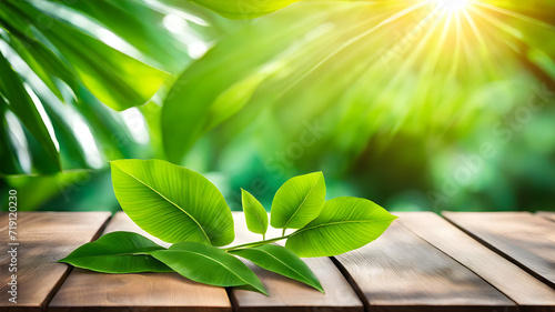 generative ai soft bokeh natural green background  tropical plants refreshing and healthy concept. there are wooden boards