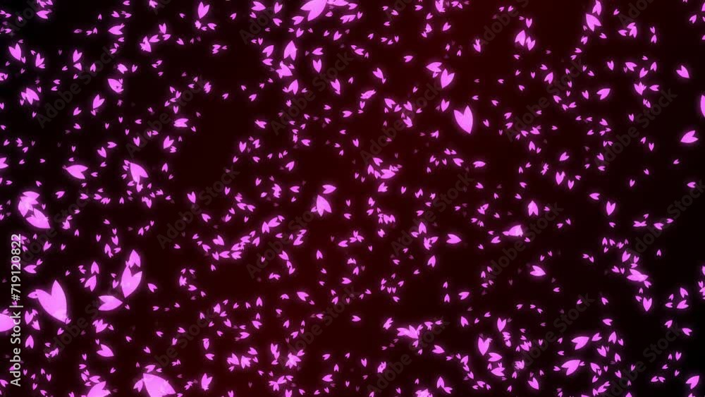 Pink cherry petals falling from dark purple background. Abstract footage with a scene of Spring time in Japan. Pink cherry petals falling from dark purple background. Abstract footage with a scene of Spring time in Japan.