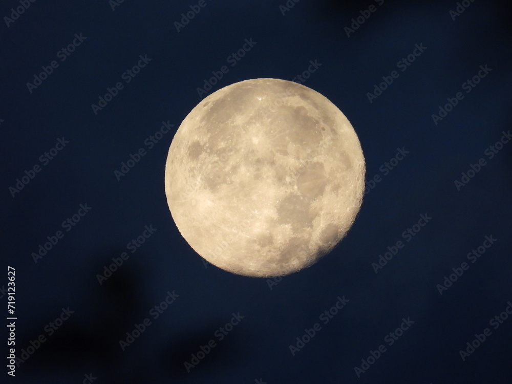 Moon on the background of leaves and clouds Moon on the background of leaves and clouds