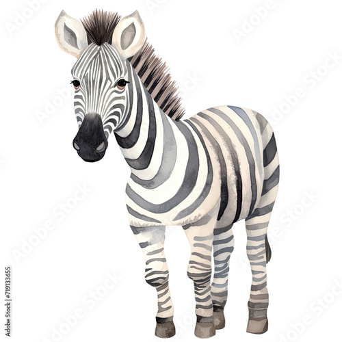 AI-generated watercolor baby Zebra clip art illustration. Isolated elements on a white background.