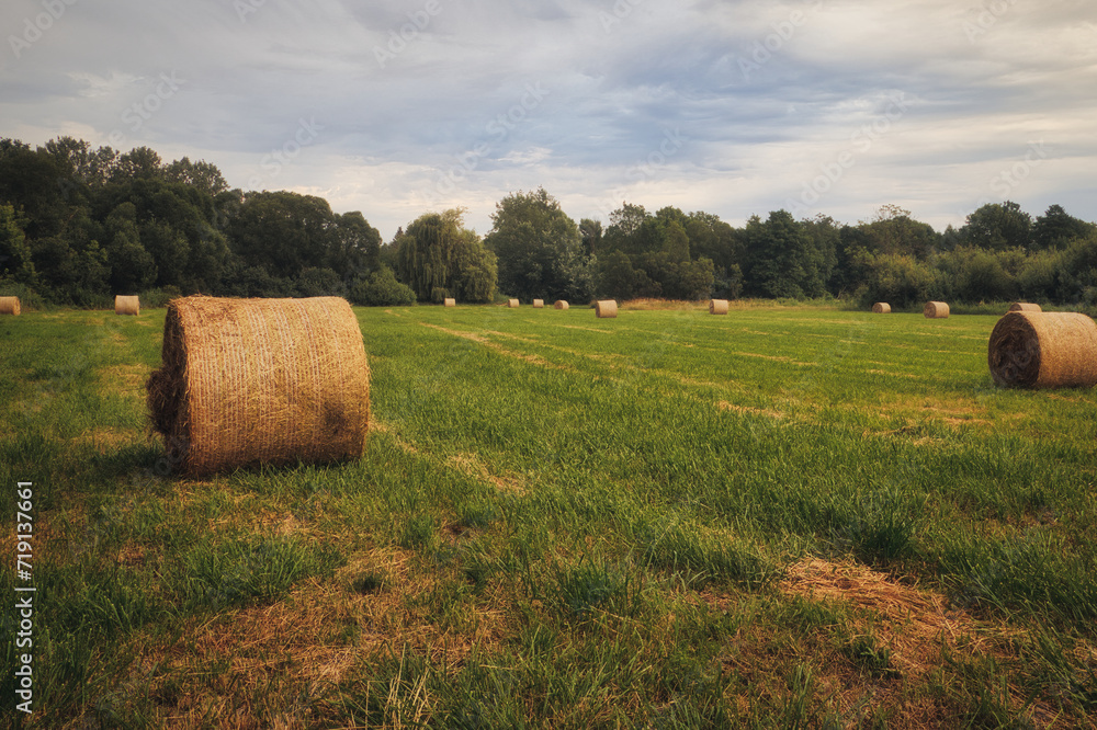 Strohballen - Heuballen - Heu - Stroh - bales of hay - field - harvest - summer - straw - farmland - blue cloudy sky - golden - beautiful - freshly - countryside - haystacks - harvesting - background