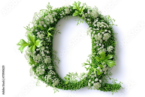 Letter q  made from queen anne s lace flowers in modern 3d style, isolated on a white background photo