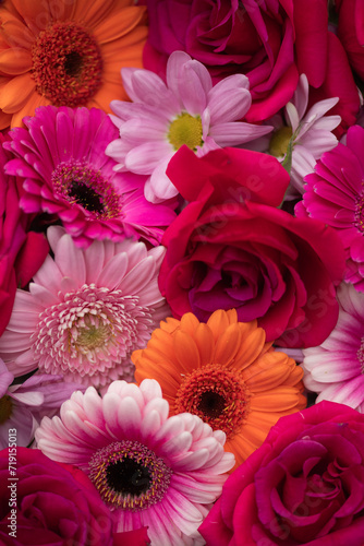 background of colorful red and pink gerber flowers and roses  photo