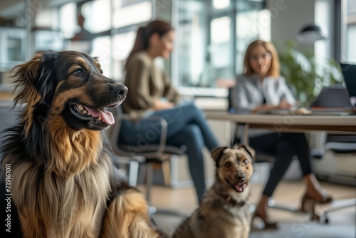 A pet dog in a business environment