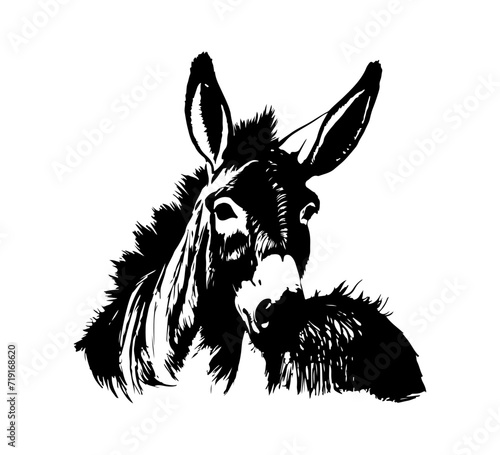 donkey Hand drawn illustration vector graphic asset