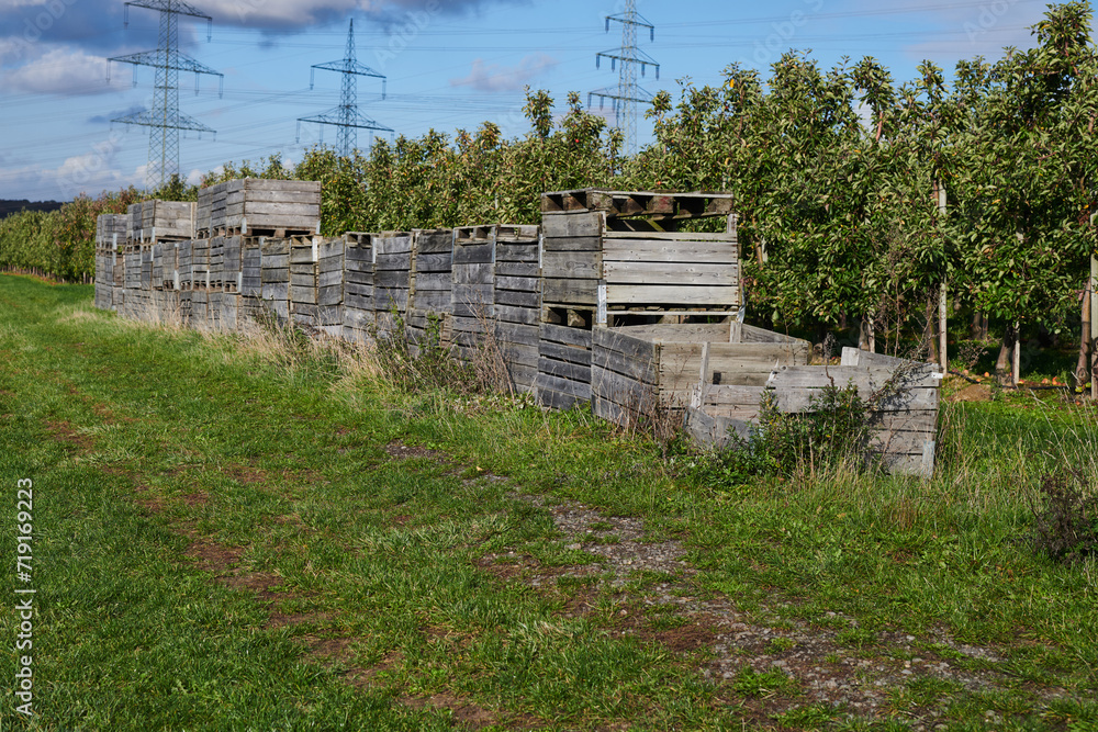 Gestapelte Obstkisten für den Wochenmarkt im Feld bereit um beladen zu werden Gestapelte Obstkisten für den Wochenmarkt im Feld bereit um beladen zu werden