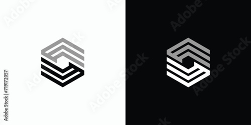 Letter E S hexagon line shape vector logo design. photo