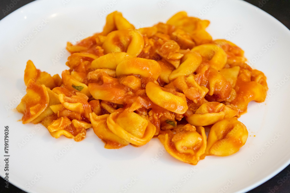Traditional stuffed capeletti pasta with tomato sauce served on a white plate. Traditional stuffed capeletti pasta with tomato sauce served on a white plate.