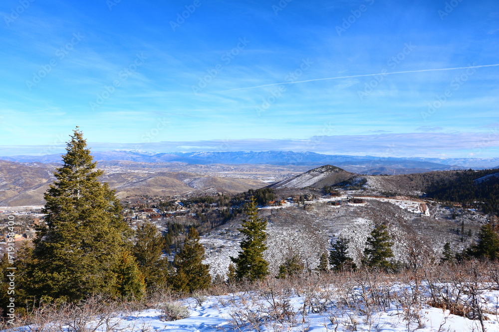 winter landscape with snow