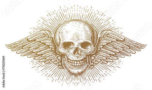 Wings and skull. Winged skeleton in old engraving style. Hand drawn vintage vector illustration