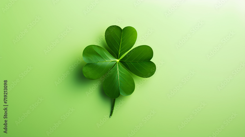 Flat lay of four-leaf clover with green background. Happy St. Patrick's Day. Flat lay of four-leaf clover with green background. Happy St. Patrick's Day.