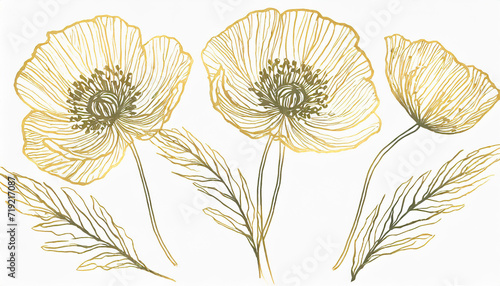 Hand drawn wildflowers, golden outlines poppy isolated illustration, wedding stationery element
