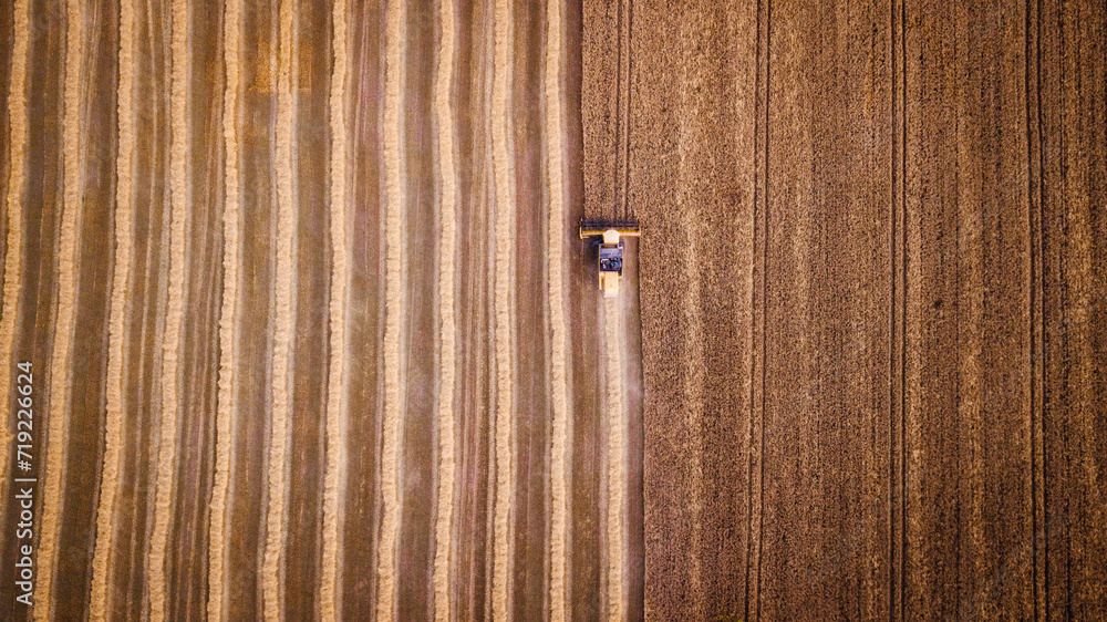 erial view modern agricultural equipment , machinery, tractor harvests wheat field. seasonal works. drone shot Farmland from above erial view modern agricultural equipment , machinery, tractor harvests wheat field. seasonal works. drone shot Farmland from above