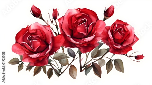 Watercolor red roses with leaves isolated on white background