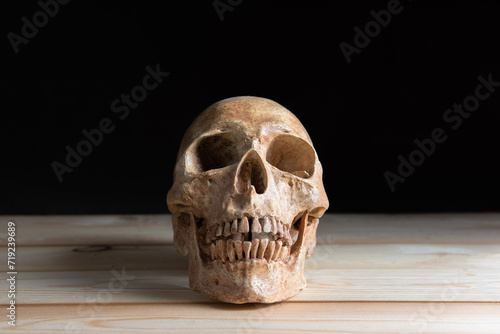 skulls on wooden board, perfect for Halloween or medical-themed design