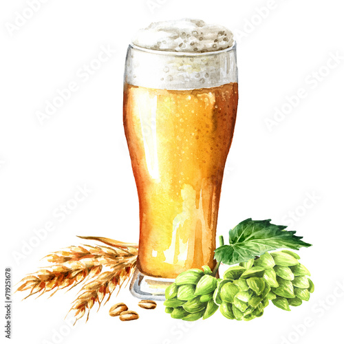 Beer, Octoberfest concept. Hand drawn watercolor illustration isolated on white background
