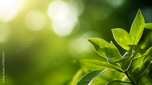 Nature of green leaf in garden,Sunny Green Foliage in Nature's Embrace: A vibrant tapestry of leaves, branches, and fresh growth,, green forest,Generative Ai