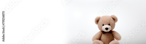 Brown teddy bear. Plain white background.