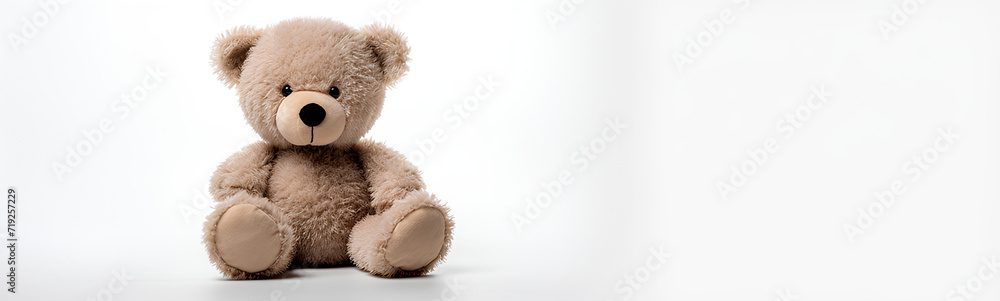 Obraz premium Brown teddy bear. Plain white background.