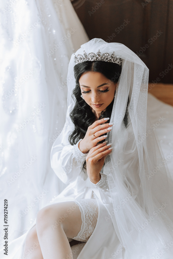 Beautiful bride in a dressing gown in the morning before the wedding ceremony. Incredible hairstyle of the bride. Natural and modern makeup. Portrait of a young bride in a dressing gown. Beautiful bride in a dressing gown in the morning before the wedding ceremony. Incredible hairstyle of the bride. Natural and modern makeup. Portrait of a young bride in a dressing gown.