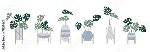 Set of tropical monstera leaves in flowerpots on wooden stands.Vector graphics.