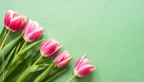 pink tulips on a green